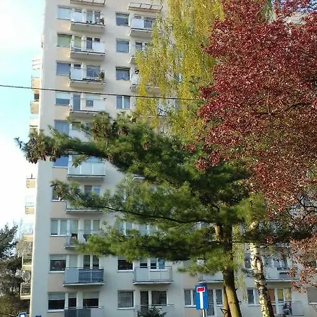 Apartament Platinum *